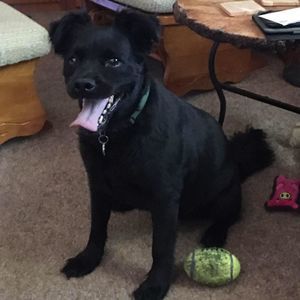 Meet your Posher, Jan